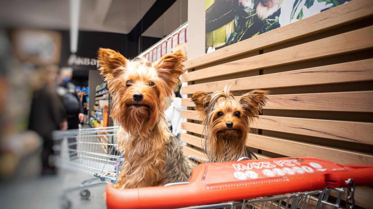 Maxi Pet скоро отваря врати за всички домашни любимци в София