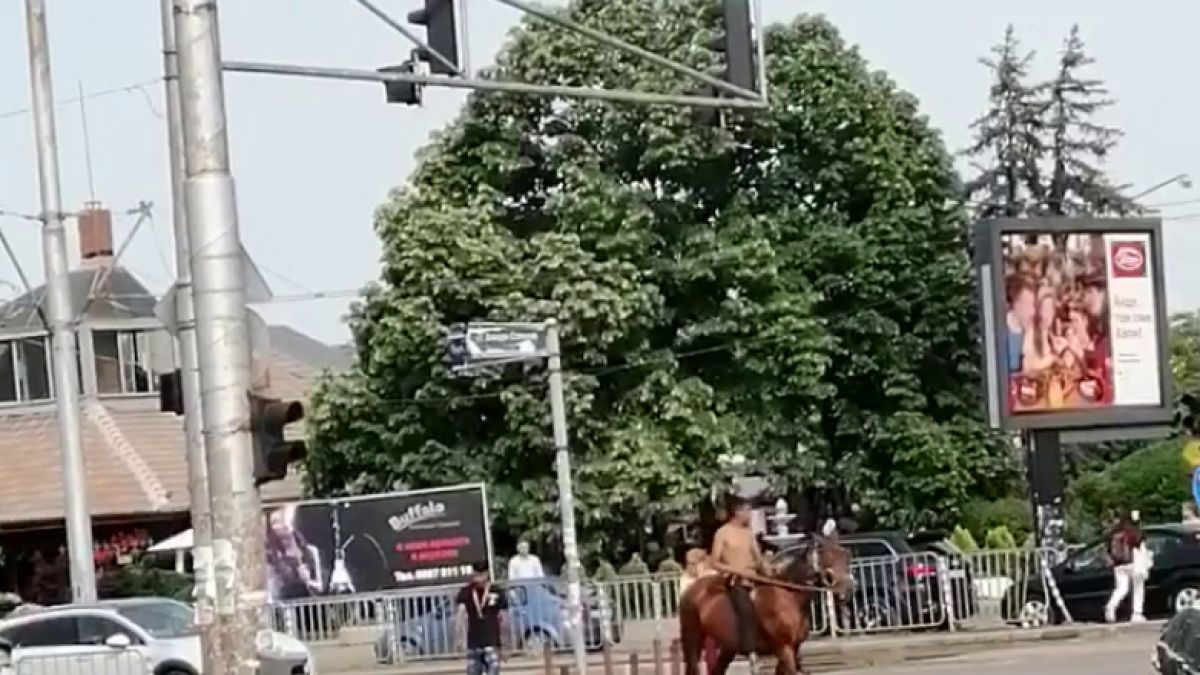 Мургав "принц" на кон кръстосва столицата ВИДЕО 