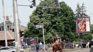 Мургав "принц" на кон кръстосва столицата ВИДЕО 