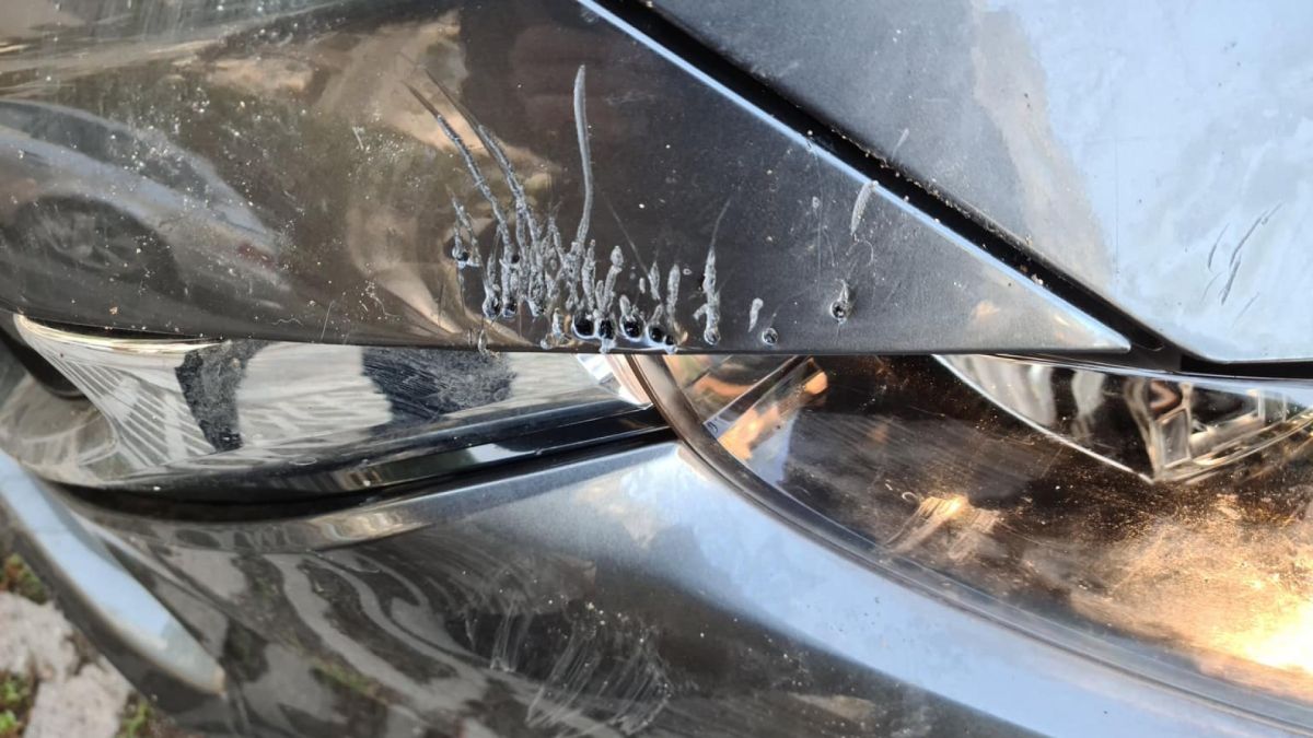 Бездомни псета направиха на нищо колата на столичанин СНИМКИ 