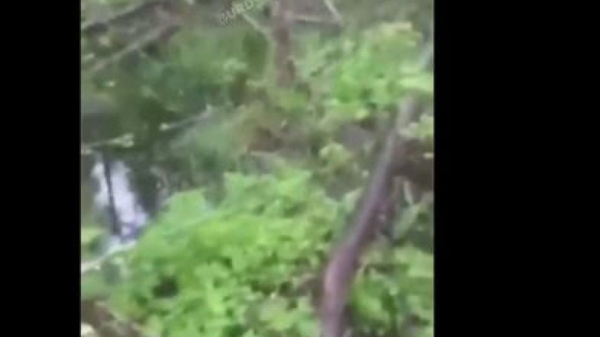 Откриха тялото на изчезнал ловец в гората, а ужасно ВИДЕО от телефона му разкри от каква смърт е умрял
