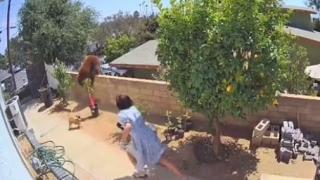 Хит ВИДЕО: Тийнейджърка се хвърли с голи ръце срещу мечка и я отблъсна