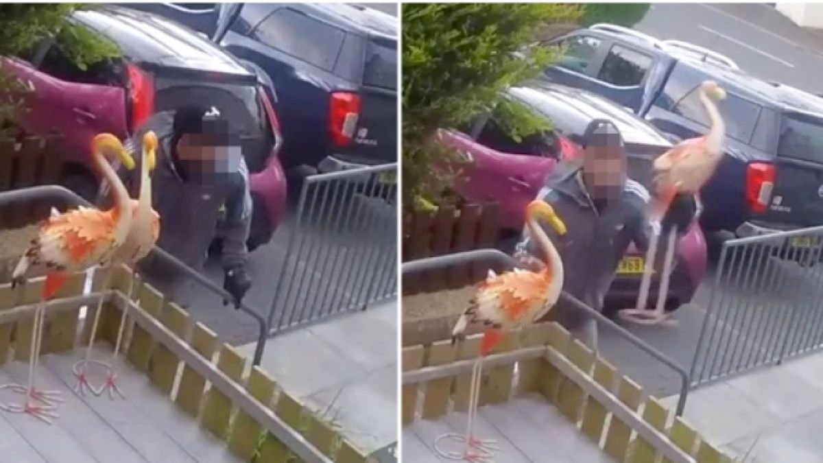 Откраднаха градинското фламинго на семейство, но след това ВИДЕО последва неочакван обрат