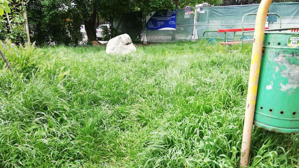 Страшна напаст нахапа софиянци, всички пищят 