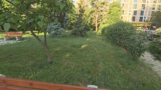 Пак издънка: Скандалната кметица от ДБ глоби столичани, засадили цветя в парк
