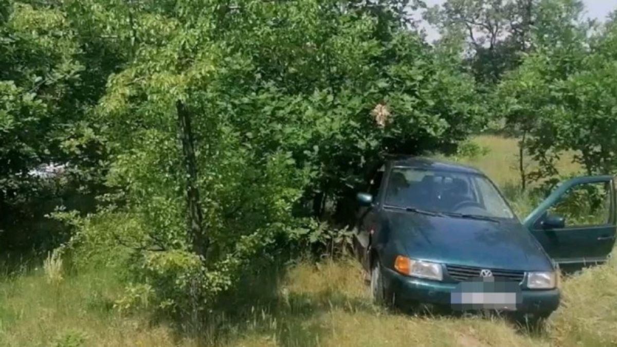 Зловеща гледка в покрайнините на село в Пиринско 