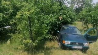 Зловеща гледка в покрайнините на село в Пиринско 