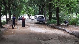 Никога няма да купите липов чай, ако видите тези СНИМКИ