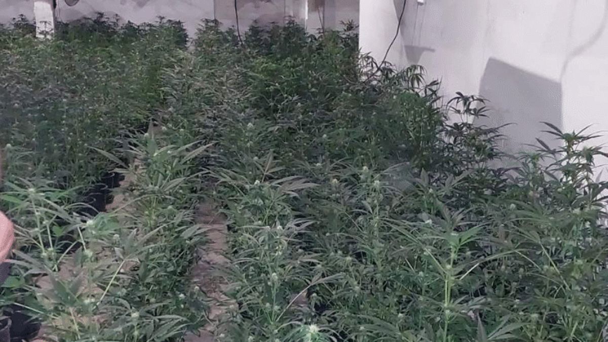 Свиреп удар за 200 бона на ГДБОП в София, натръшкаха по земята...