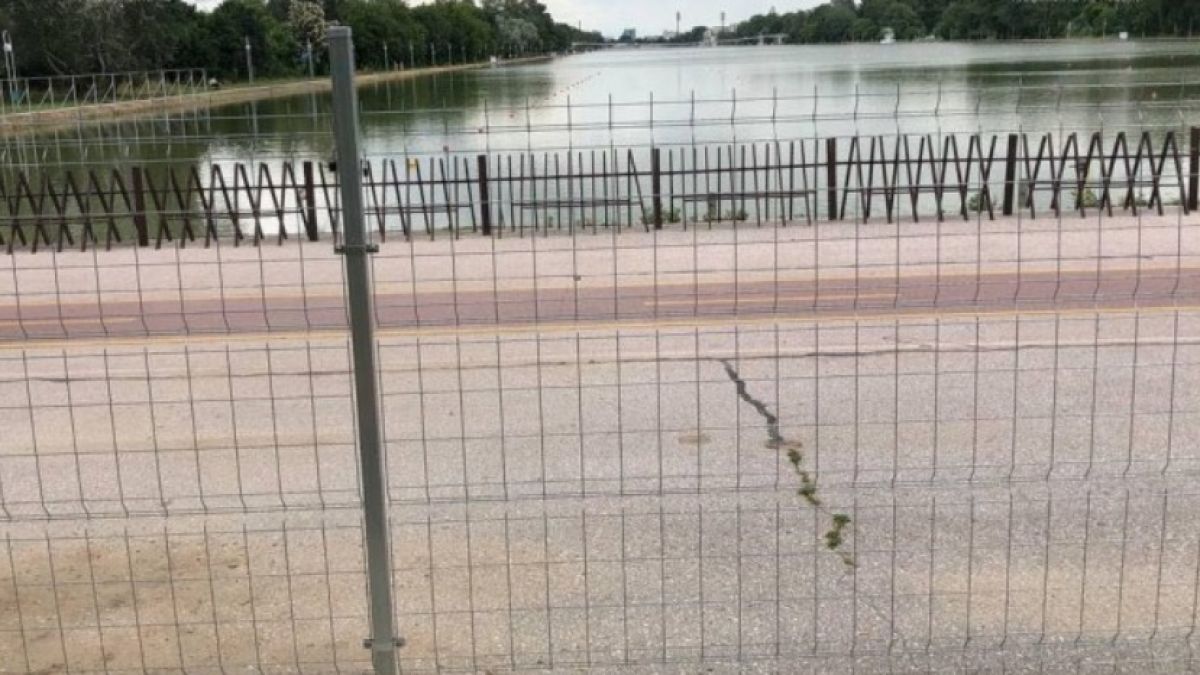 Пловдивчани негодуват заради гледката, на която се натъкнаха ВИДЕО