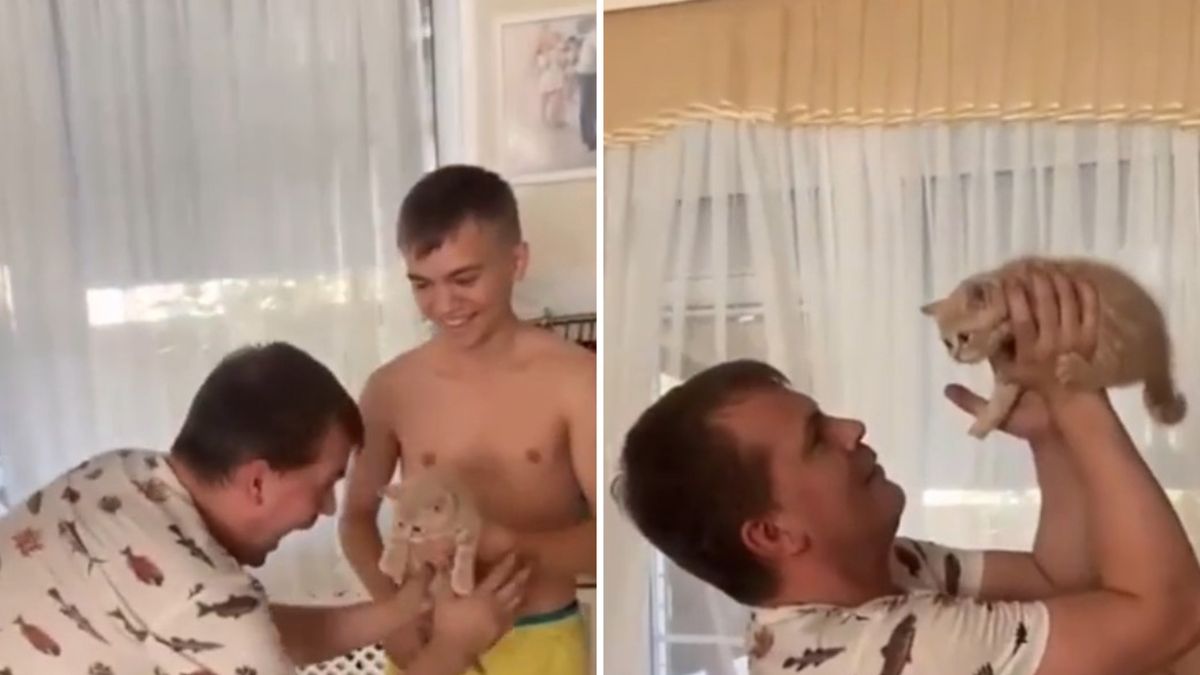 Реакцията на баща към малко котенце умили интернет ВИДЕО