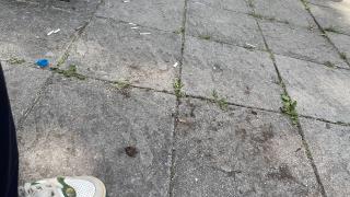 Г-н Министър, главата ще ви заболи от тези хубостници от НАП! СНИМКИ