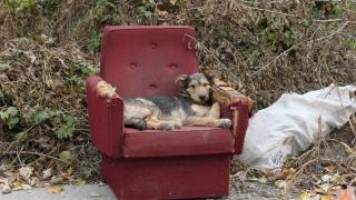 Шок! Нещо страшно се случва в столичния район Сердика