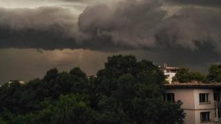 Дърво премаза кола в центъра на София и рани тежко младеж СНИМКИ 