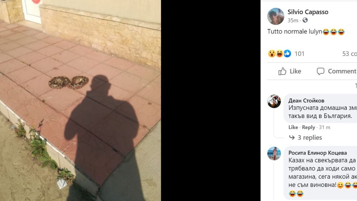 Шок и ужас в "Люлин"! Софиянци се чудят откъде изпълзя тази твар СНИМКИ