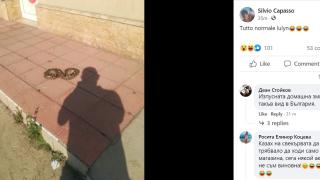 Шок и ужас в "Люлин"! Софиянци се чудят откъде изпълзя тази твар СНИМКИ