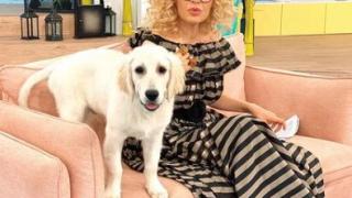 Гала се раздели с един от панелистите си СНИМКА