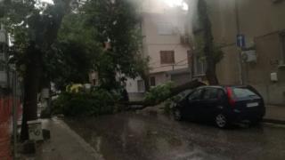 Страшна буря удари Пловдив, положението е повече от опасно СНИМКИ