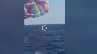 Кървав инцидент: Акула изскочи от водата и отхапа крака на парашутист ВИДЕО