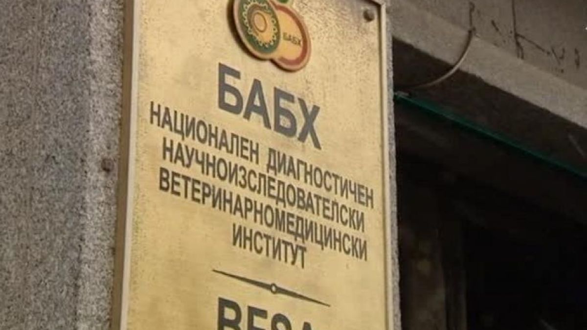 БАБХ разкри за пореден голям удар 