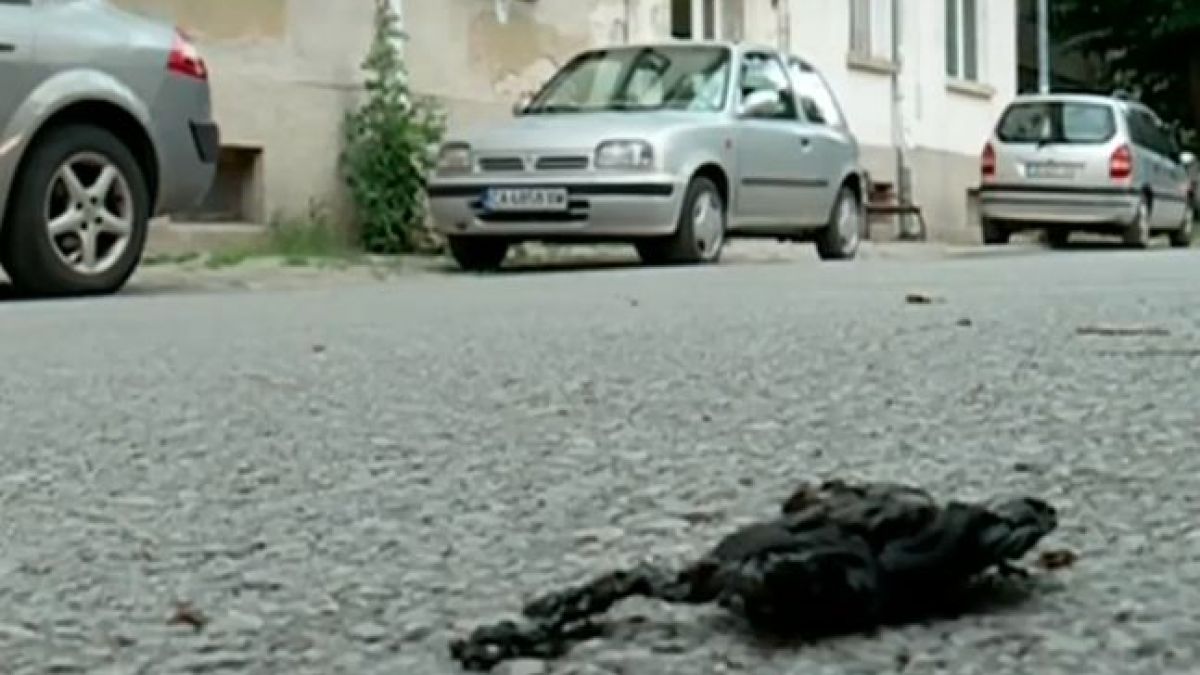 Мистерия обви ужаса със самозапалил се мъж в София, преди това той... ВИДЕО