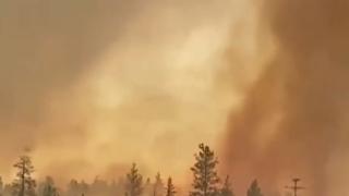 Рядка огнена стихия помете Калифорния ВИДЕО 