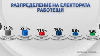 Демография на вота: Как гласуваха българите?