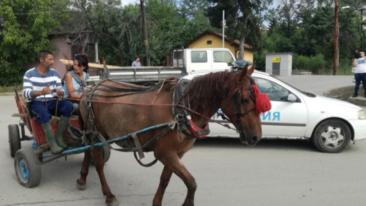 Циганите в Кюстендил изнагляха брутално! Искат бонус, за да...