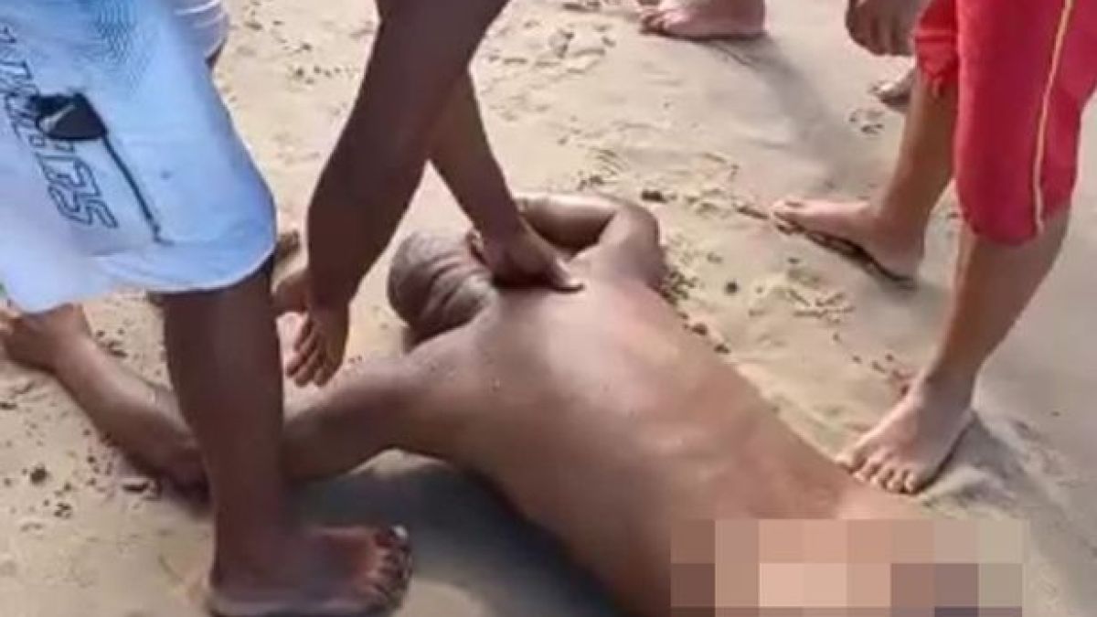 Акула разкъса мъж, влязъл да се облекчи в океана СНИМКИ 18+