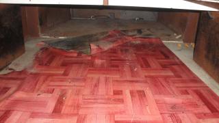 Зрелищни СНИМКИ от акцията: Наш граничар надникна в тайник на пода на микробус и онемя 