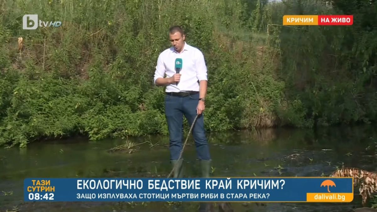 Зловещо! Стотици трупове изплуваха край Кричим 