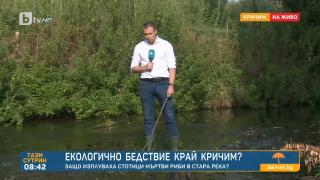 Зловещо! Стотици трупове изплуваха край Кричим 