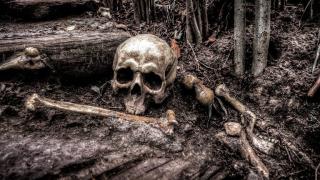 Гробът на великан бе открит в Южна Корея