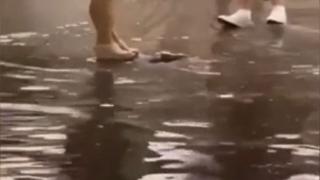 В Киев е страшно! ВИДЕО