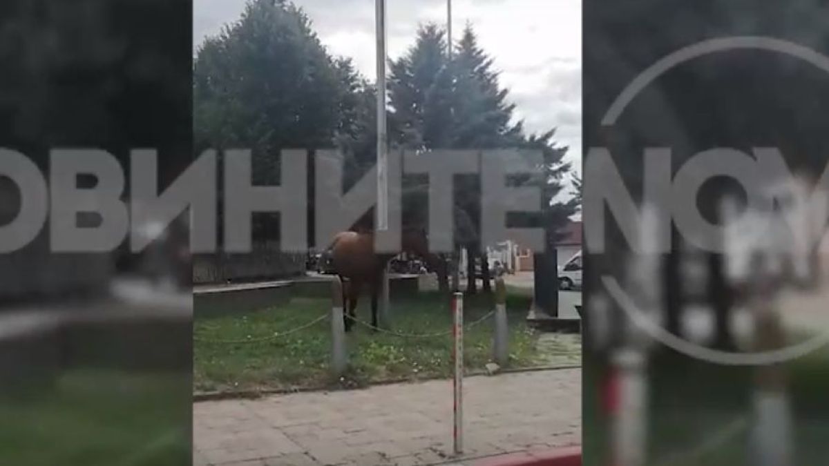 Гавра с трибагреника, ето какво направиха в Омургаг ВИДЕО 
