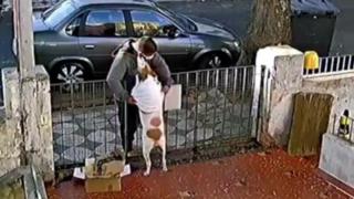 Смях: Не е за вярване какво направи този мъж на кучето ВИДЕО