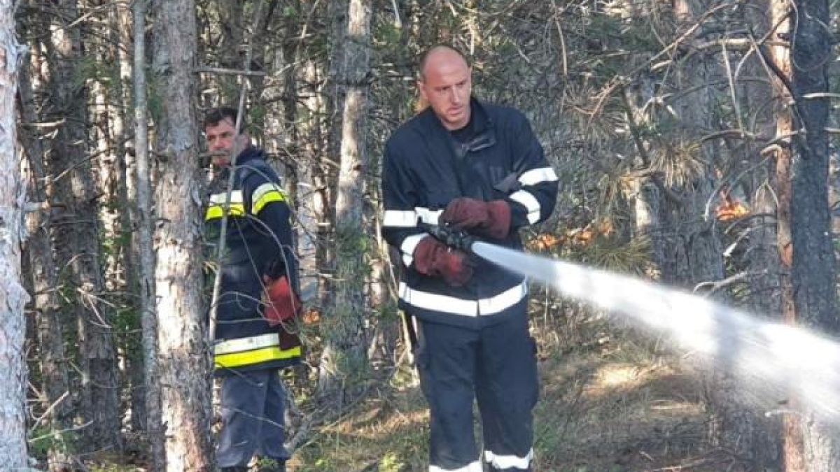 Извънредни новини за пожара в Сакар планина ВИДЕО