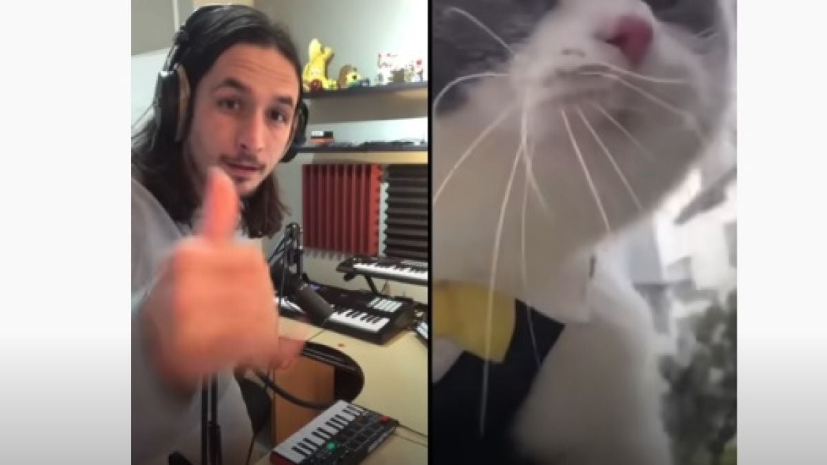 Невероятен музикален шедьовър с мяукаща котка ВИДЕО