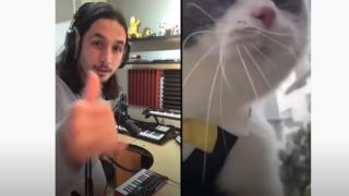 Невероятен музикален шедьовър с мяукаща котка ВИДЕО