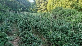 Ченгета с голям удар край Благоевград