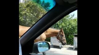 Варненци останаха шокирани от тази гледка в града им СНИМКИ