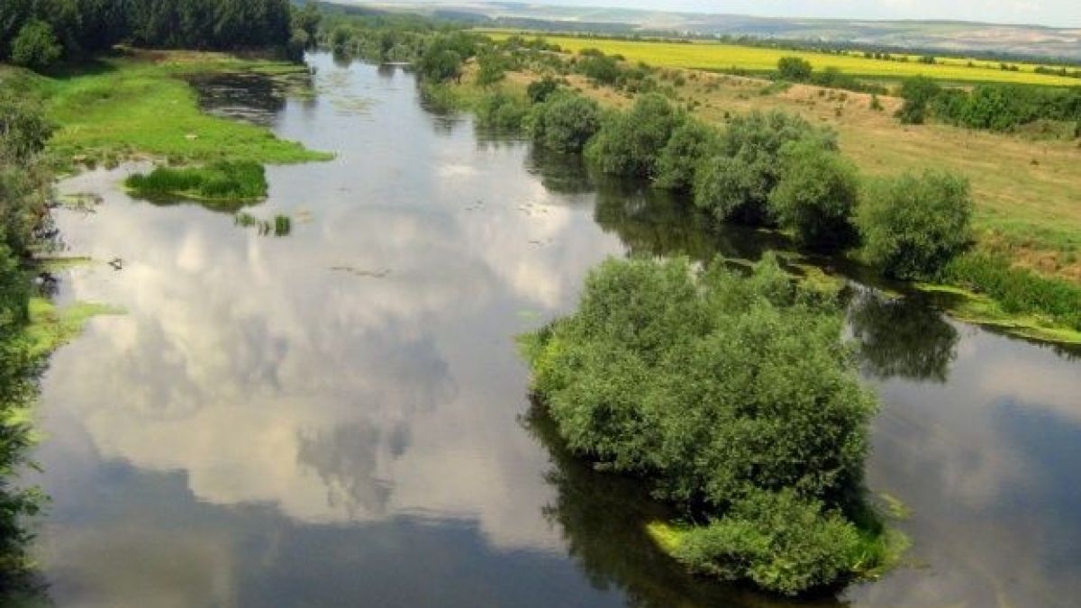 Младеж умря мъчително на пикник край Янтра