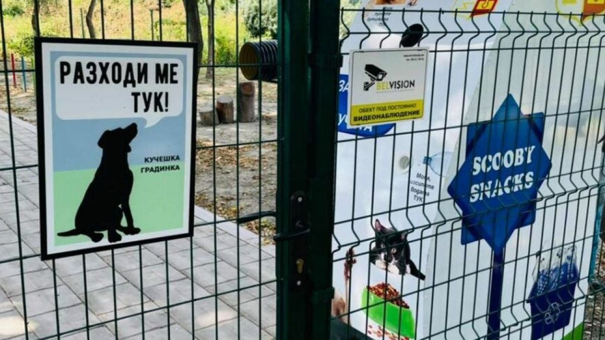 Добрата новина за хора със сърца дойде от Белослав СНИМКИ