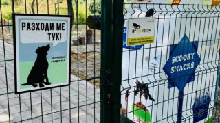 Добрата новина за хора със сърца дойде от Белослав СНИМКИ