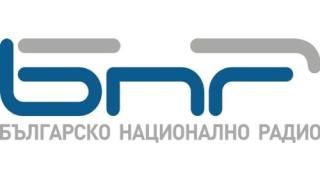 Ето кого избраха за временен шеф на БНР