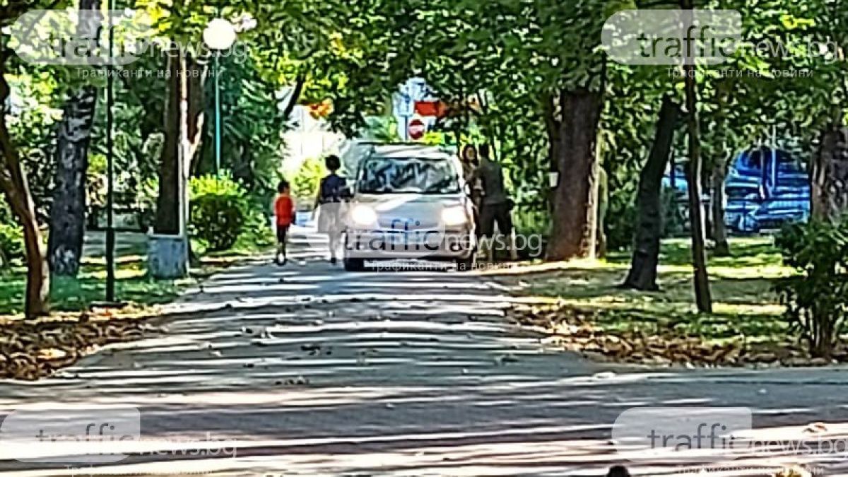 Пловдивски шофьор скандализира всички с наглата си изцепка в парка СНИМКИ 