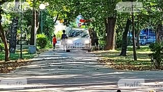 Пловдивски шофьор скандализира всички с наглата си изцепка в парка СНИМКИ 