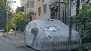 Пловдивски шофьор изби рибата с наглата си изцепка СНИМКА