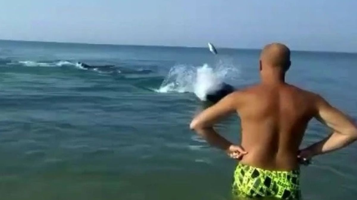 Уникално ВИДЕО: Делфин замеря с риби летовници на брега на Черно море 