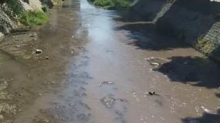 Река Струма смени цвета си, перничани притеснени СНИМКИ 
